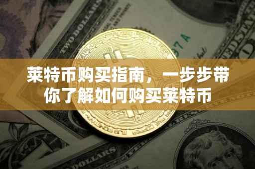 莱特币购买指南，一步步带你了解如何购买莱特币
