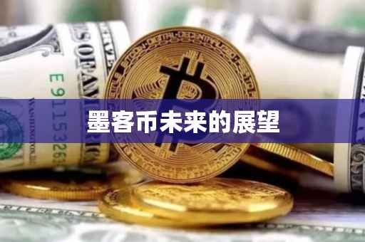 墨客币未来的展望
