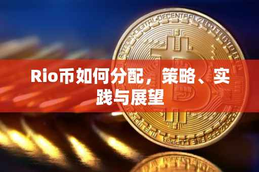 Rio币如何分配，策略、实践与展望