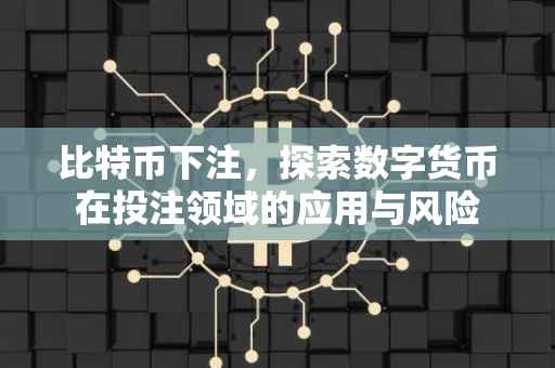 比特币下注，探索数字货币在投注领域的应用与风险
