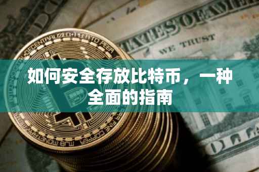 如何安全存放比特币，一种全面的指南