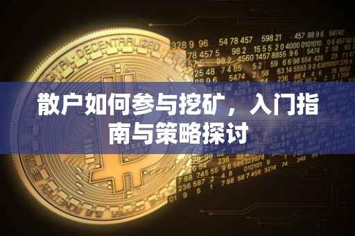 散户如何参与挖矿，入门指南与策略探讨