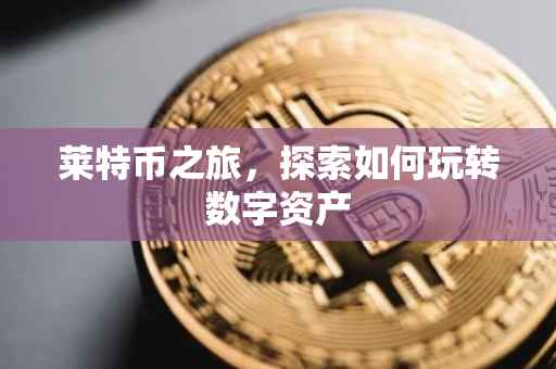莱特币之旅，探索如何玩转数字资产