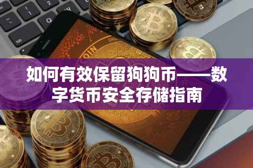 如何有效保留狗狗币——数字货币安全存储指南