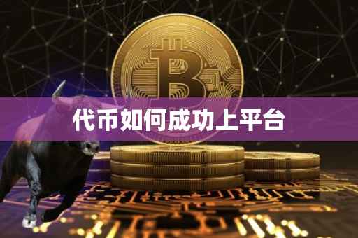 代币如何成功上平台