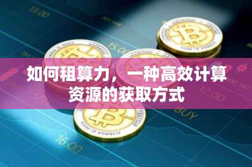 如何租算力，一种高效计算资源的获取方式