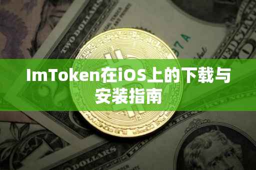 ImToken在iOS上的下载与安装指南