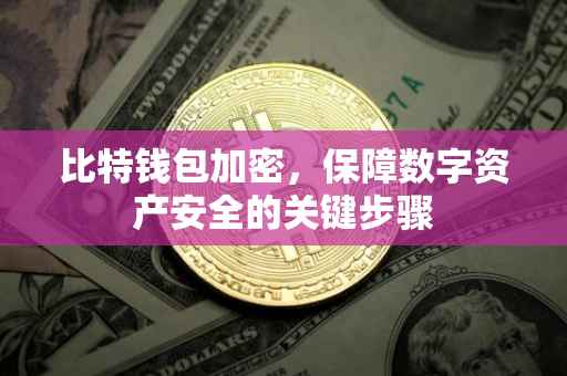 比特钱包加密，保障数字资产安全的关键步骤
