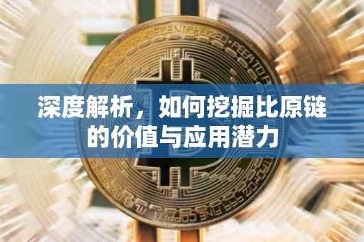 深度解析，如何挖掘比原链的价值与应用潜力