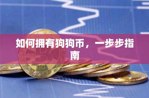 如何拥有狗狗币，一步步指南