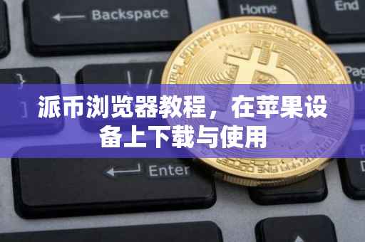 派币浏览器教程，在苹果设备上下载与使用