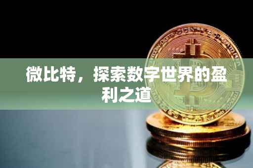 微比特，探索数字世界的盈利之道