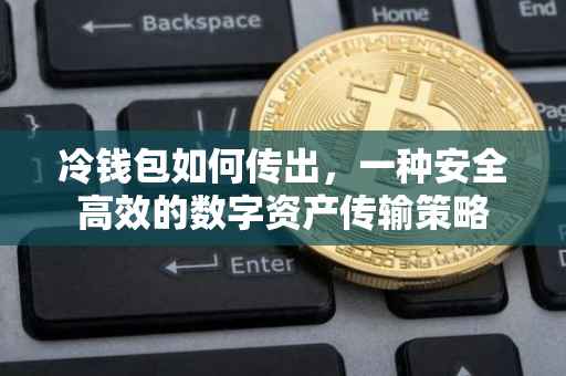 冷钱包如何传出，一种安全高效的数字资产传输策略