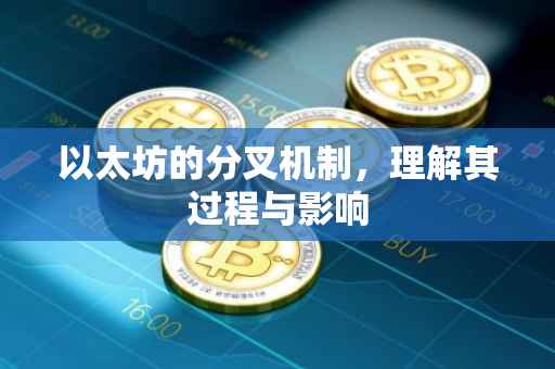 以太坊的分叉机制，理解其过程与影响