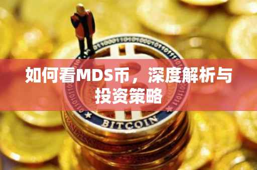如何看MDS币，深度解析与投资策略