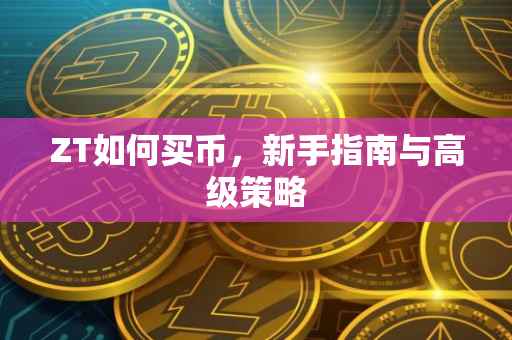 ZT如何买币，新手指南与高级策略