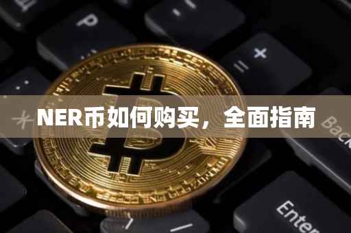 NER币如何购买，全面指南