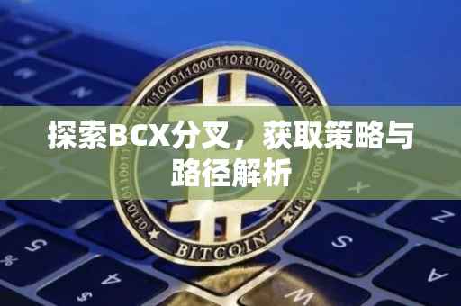 探索BCX分叉，获取策略与路径解析
