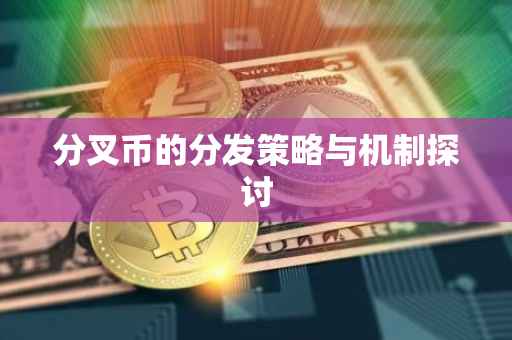 分叉币的分发策略与机制探讨