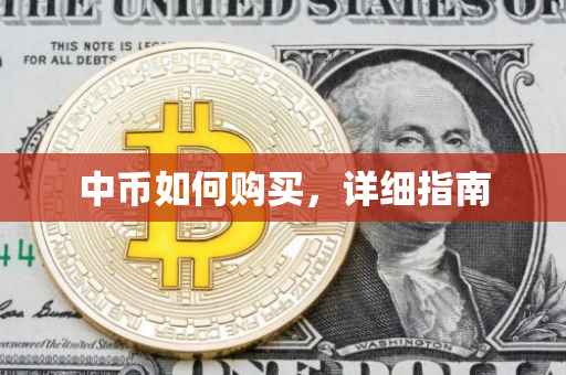 中币如何购买，详细指南