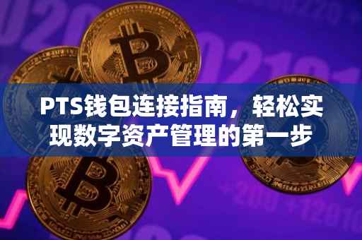 PTS钱包连接指南，轻松实现数字资产管理的第一步