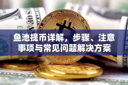 鱼池提币详解，步骤、注意事项与常见问题解决方案