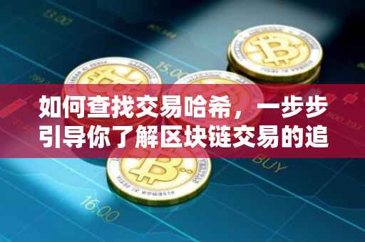 如何查找交易哈希，一步步引导你了解区块链交易的追踪方法