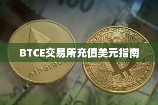 BTCE交易所充值美元指南