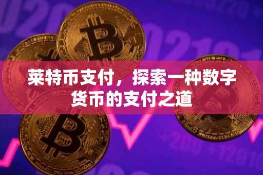 莱特币支付，探索一种数字货币的支付之道