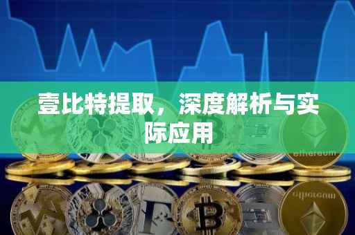 壹比特提取，深度解析与实际应用