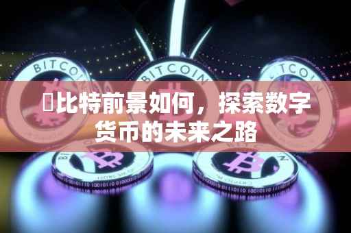 犇比特前景如何，探索数字货币的未来之路