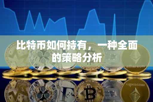 比特币如何持有，一种全面的策略分析