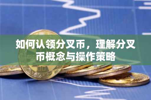 如何认领分叉币，理解分叉币概念与操作策略