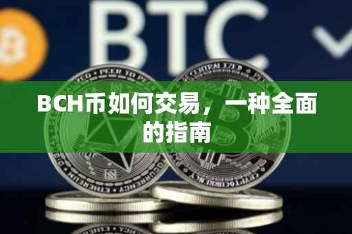 BCH币如何交易，一种全面的指南