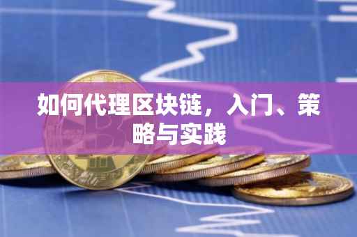 如何代理区块链，入门、策略与实践