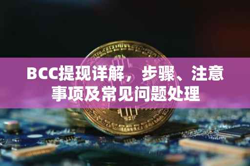 BCC提现详解，步骤、注意事项及常见问题处理
