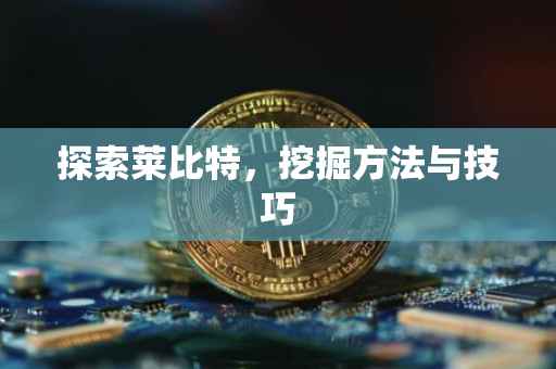 探索莱比特，挖掘方法与技巧