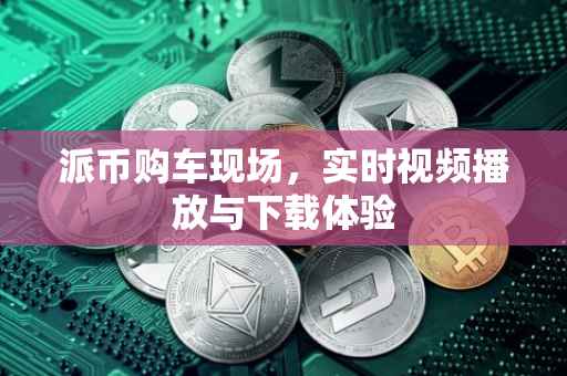 派币购车现场，实时视频播放与下载体验