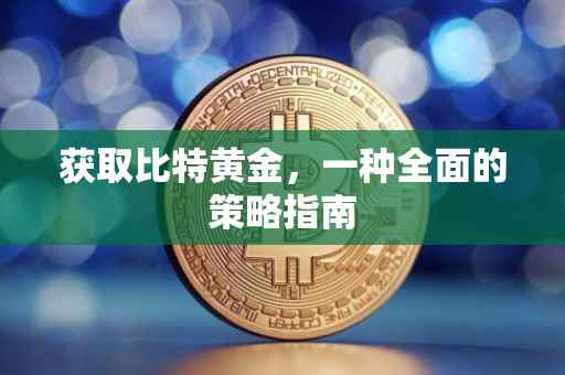 获取比特黄金，一种全面的策略指南