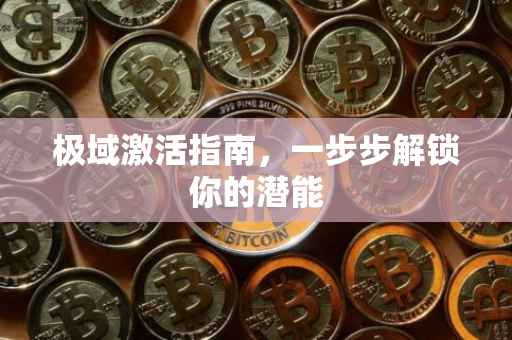 极域激活指南，一步步解锁你的潜能