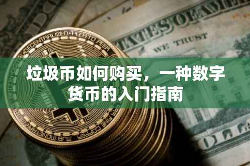 垃圾币如何购买，一种数字货币的入门指南