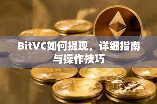 BitVC如何提现，详细指南与操作技巧