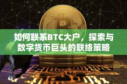 如何联系BTC大户，探索与数字货币巨头的联络策略