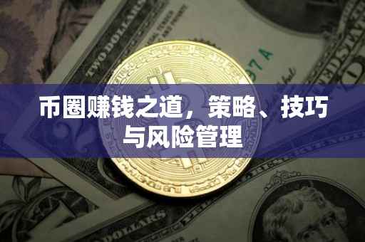 币圈赚钱之道，策略、技巧与风险管理
