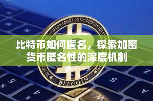 比特币如何匿名，探索加密货币匿名性的深层机制