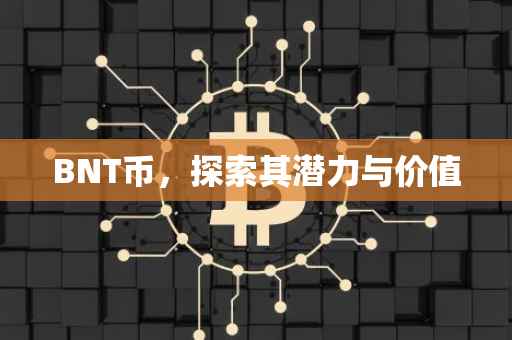 BNT币，探索其潜力与价值