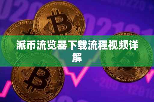 派币流览器下载流程视频详解