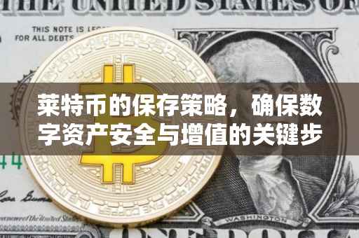 莱特币的保存策略，确保数字资产安全与增值的关键步骤