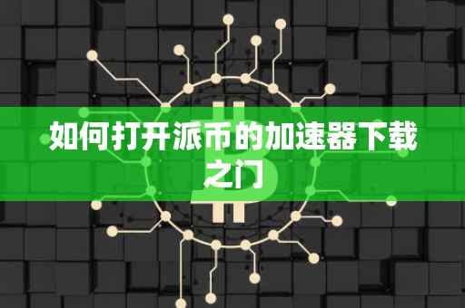 如何打开派币的加速器下载之门