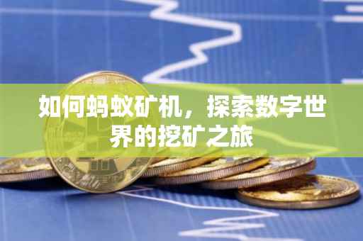 如何蚂蚁矿机，探索数字世界的挖矿之旅